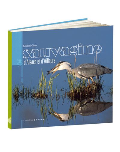 Sauvagine d'alsace et d'ailleurs