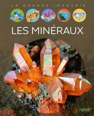 Les Mineraux Broche Philippe Simon Achat Livre Fnac