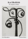 Karl Blossfeldt, the alphabet of plants