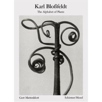 Karl Blossfeldt, the alphabet of plants