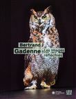 Bertrand Gadenne - Les images réfléchies