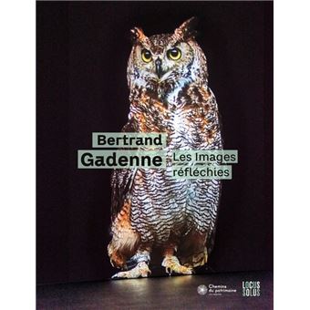 Bertrand Gadenne - Les images réfléchies