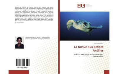 La tortue aux petites antilles - entre la valeur symbolique