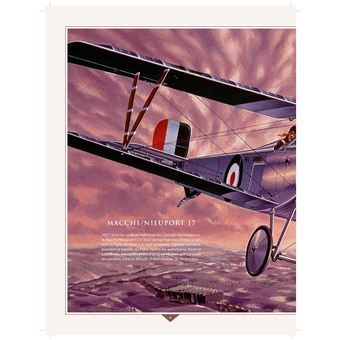 Une histoire de l'aviation - Peintures et illustrations mythiques du Fana de l'Aviation