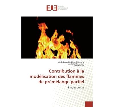 Contribution à la modélisation des flammes de prémélange partiel