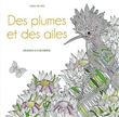 Des plumes et des ailes - Dessins à colorier