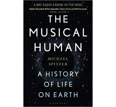 The Musical Human