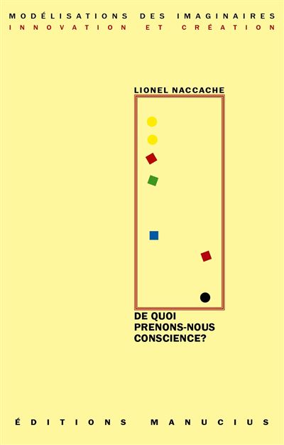 De quoi prenons-nous conscience ?