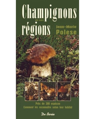 Champignons de nos régions