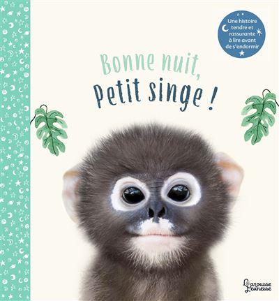 Bonne Nuit Petit Singe Cartonne Amanda Wood Vikki Chu Mim Achat Livre Fnac