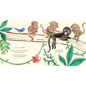 Bonne nuit petit singe