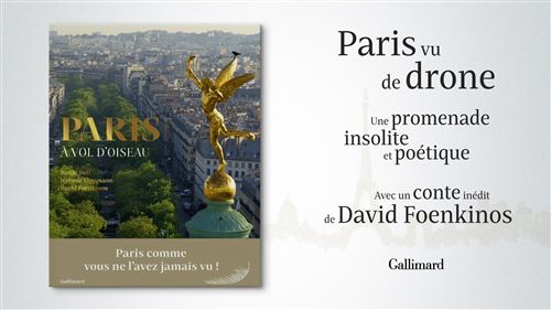 Paris A Vol D Oiseau Relie David Foenkinos Jeremie Lippmann Basile Dell Achat Livre Fnac