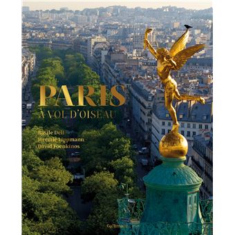 Paris A Vol D Oiseau Relie David Foenkinos Jeremie Lippmann Basile Dell Achat Livre Fnac