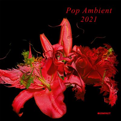 POP AMBIENT 2012 (LP+ DOWNLOAD)