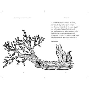 300 citations inspirantes pour ronronner de bonheur