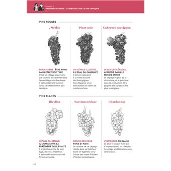 Apprendre le vin avec Les Gouttes de Dieu