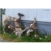 En costume d´huîtres