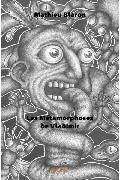 Les métamorphoses de Vladimir