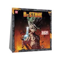 Calendrier 2021 Dr Stone
