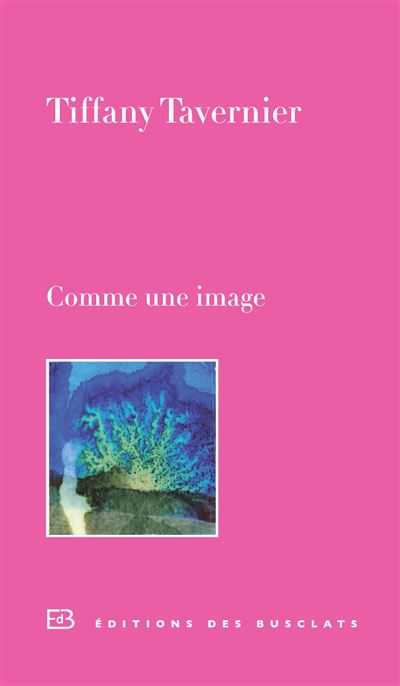 Comme une image