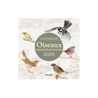 Acheter Calendrier De L'Avent Oiseaux 2025 24 Jours Ornements D'Oiseaux Réalistes En Acrylique Décor Compte à Rebours De Noël Cadeau Pour Les Observateurs D'Oiseaux Et Les Amoureux De La Nature