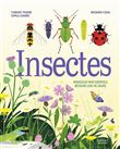 Insectes