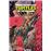 Les Tortues NinjaLes Tortues Ninja - TMNT, T9 : Vengeance - Seconde partie_0