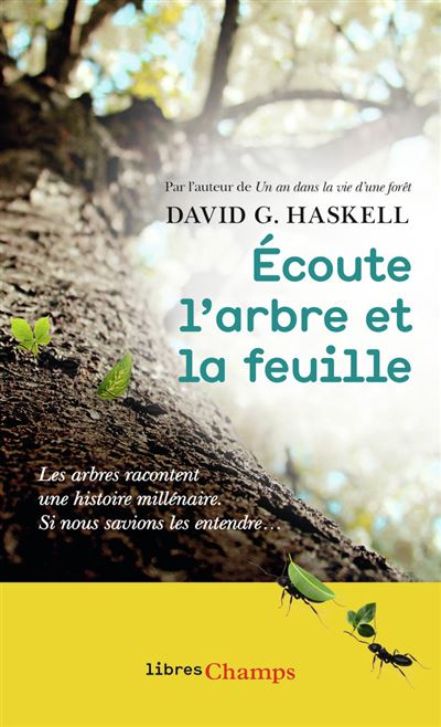 Écoute l'arbre et la feuille - David G. Haskell - Poche
