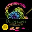 Livres à gratter : Dinosaures