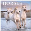 Calendrier 2021 30x30 Caballos