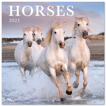 Calendrier 2021 30x30 Caballos