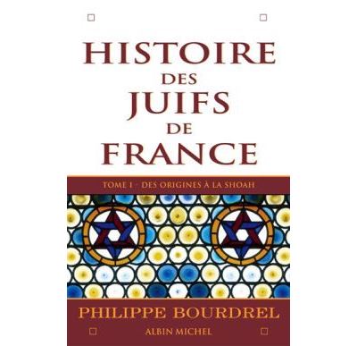 Histoire Des Juifs De France Des Origines à La Shoah Tome 1 - Broché ...