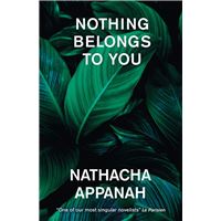 Nothing Belongs to You