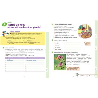 Maîtriser les règles d'accord 6e, 5e - Chouette, Je réussis !