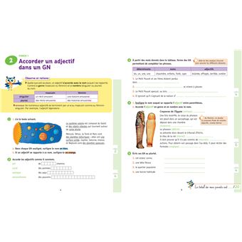 Maîtriser les règles d'accord 6e, 5e - Chouette, Je réussis !