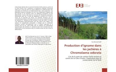Production d'igname dans les jacheres a chromolaena odorata
