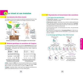 Annales du brevet Annabrevet 2024 Sciences (Physique-chimie, SVT, Technologie) 3e