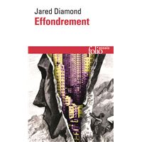 Effondrement
