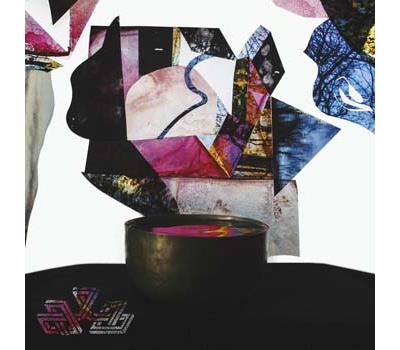 UNDYING COLOR/LP