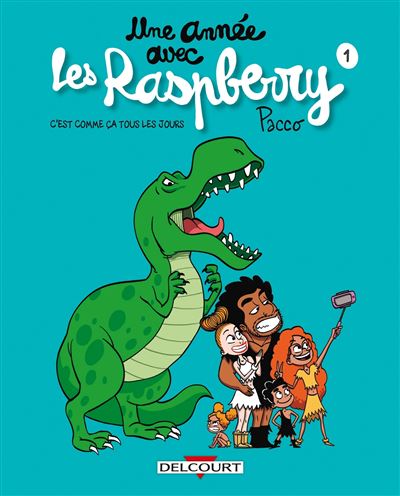 Une année avec les Raspberry 01. C'est comme ça tous les jours