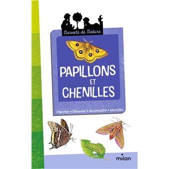 Papillons et chenilles