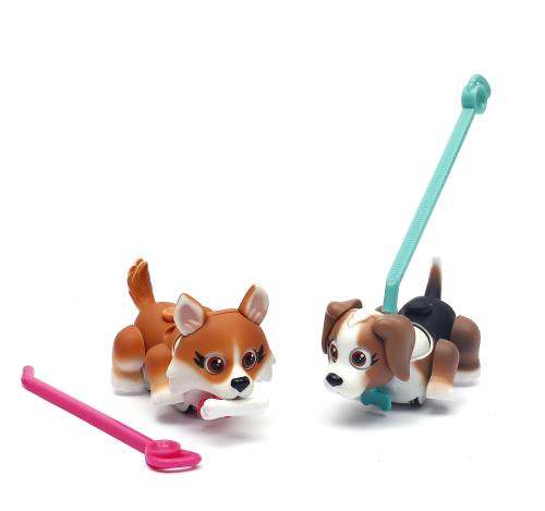 2 Chiens Corgi et Beagle Pet Parade avec 2 os et 2 laisses