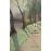 Les seize arbres de la somme_0
