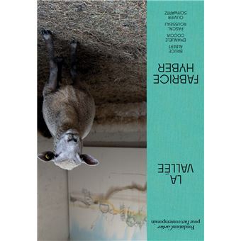 Fabrice Hyber, La Vallée