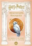 Harry Potter, méditations magiques