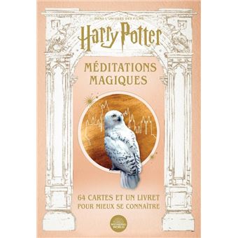 Harry Potter, méditations magiques