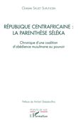 République centrafricaine : la parenthèse Séléka