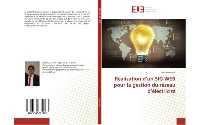 Realisation d'un sig web pour la gestion du reseau d'electri