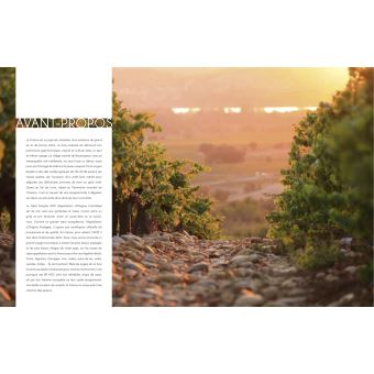 Tour de France des saveurs