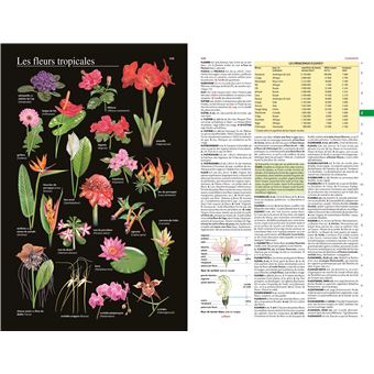 Petit Larousse Illustré 2023